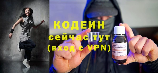 сатива Осинники