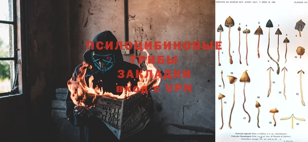 сатива Осинники