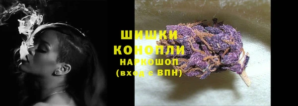 сатива Осинники