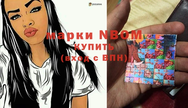 дурь Осташков