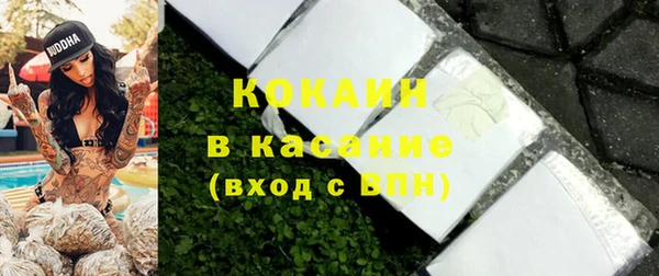 ГАЛЛЮЦИНОГЕННЫЕ ГРИБЫ Пересвет