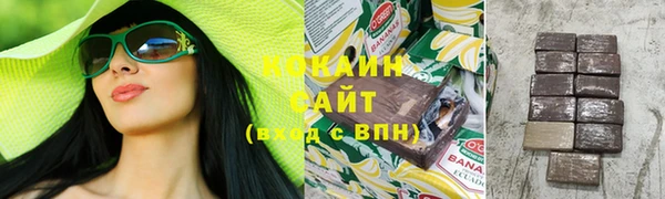 дурь Осташков