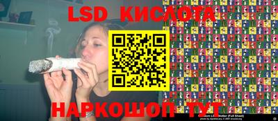 бошки Бийск