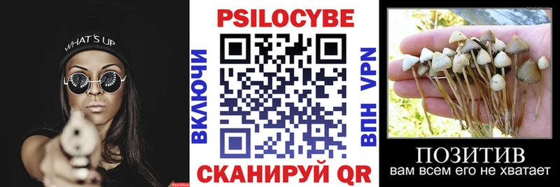 Галлюциногенные грибы мицелий  наркошоп  Полысаево 