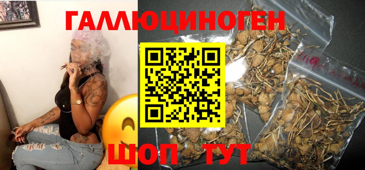 Псилоцибиновые грибы MAGIC MUSHROOMS Полысаево