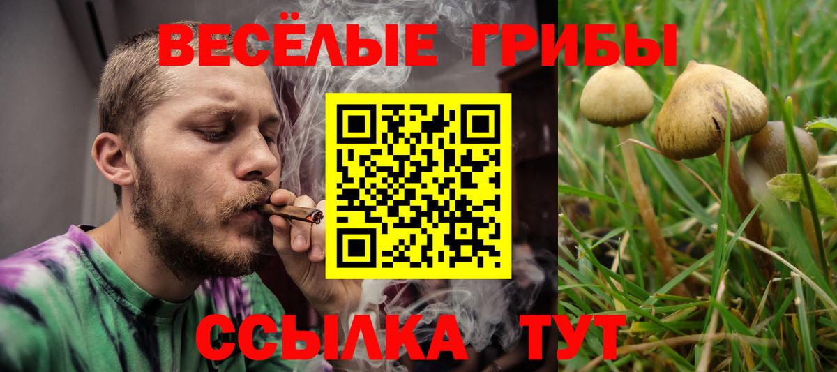 Псилоцибиновые грибы прущие грибы  Вход с VPN  Полысаево 